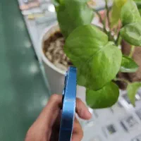 گوشی ip 13 normal|موبایل|فسا, |دیوار