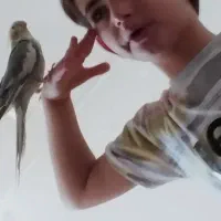 گمشده