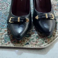 کفش مجلسی|کیف، کفش، کمربند|بندر انزلی, معلم|دیوار