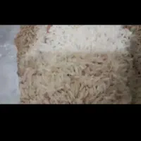 برنج فجر سوزنی