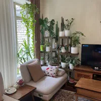 کلنگی-چوبی-متراژ-180-ماشین-رو-تا-دم-در-منصور