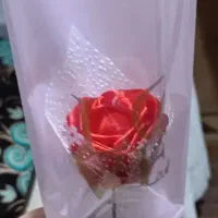 گل ربانی دونه 90|گل مصنوعی|بوشهر, |دیوار