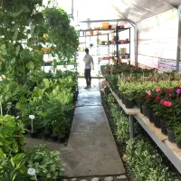 فروشنده و صندوقدار|استخدام خدمات فروشگاه و رستوران|قم, آزادگان|دیوار