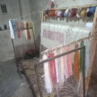 فرش ۳متری حالچه ریز ۵۵