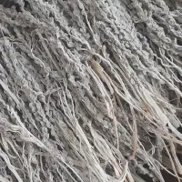 بو خشک شده تضمینی