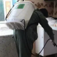 سمپاشی.وموریانه زدایی با بیش از 7سال تجربه  ومهارت