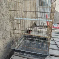 پنج عدد قفس عروس