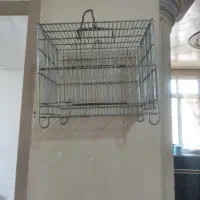 قفس