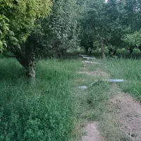 باغچه الوان و دامداری|فروش زمین و ملک کلنگی|نوشین شهر, |دیوار