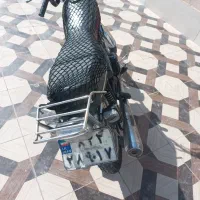 موتورسیکلت ۱۲۵ تکتاز|موتورسیکلت|خاش, |دیوار