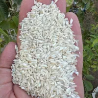 برنج|خوردنی و آشامیدنی|دامغان, |دیوار