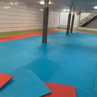 منشی خانم جهت کار در باشگاه نایسر