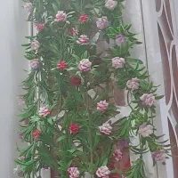 ریسه گل در ۴ عدد