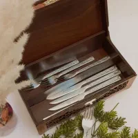 جاقاشقی دوخانه قفل دار