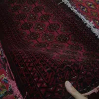 دست بافت قالیچه فرش|فرش|مشهد, شهرک امام هادی (شهرک غرب)|دیوار