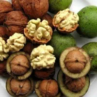 گردودرشت‌کاغذی پوست نازک‌وتوپرخشک
