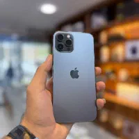 12 پرومکس