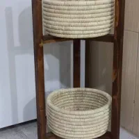 جاسیب زمینی وپیاز