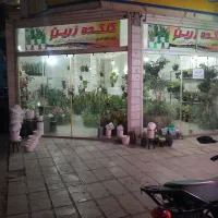 انواع گل های اپارتمانی باغچه ای و...|گل و گیاه طبیعی|بروجرد, |دیوار