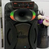 اسپیکر 10 اینچ ZQS10101