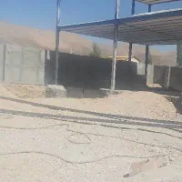 انجام دیوارکشی ساختمان و استخر قیمت مناسب|خدمات پیشه و مهارت|آبسرد, |دیوار