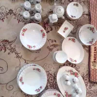 سرویس گل سرخی