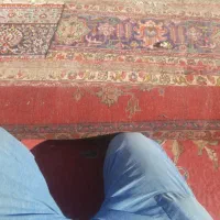 معیوب فرش|فرش|قم, تولید دارو و یخچال|دیوار