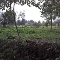 زمین مسکونی. ۲۷۰ گیله پرده سر