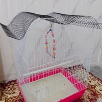 قفس پرنده