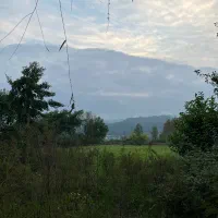 فرصتی مناسب برای سرمایه گذاری در زمین کشاورزی