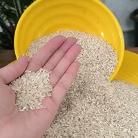 برنج عنبر بو اصل به قیمت عمده