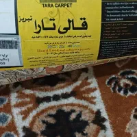 فرش ۶متری نو|فرش|تبریز, |دیوار