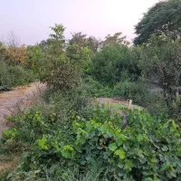 فروش زمین ۶۰۰ متری در شهرک امام حسین (میان آباد)|فروش زمین و ملک کلنگی|اسلام‌شهر, شهرک امام حسین (میان آباد)|دیوار