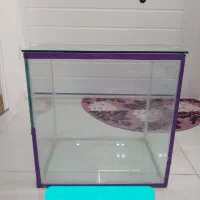 آکواریوم  به همراه وسایل کامل