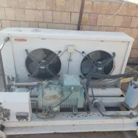 یخچال پرده هوا|فروشگاه و مغازه|مشهد, شهرک مهرگان|دیوار