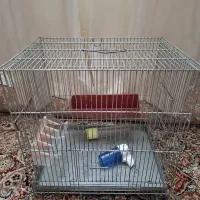 قفس سهره ، قناری