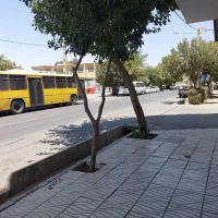 مغازه ۴۰ متری|اجارهٔ مغازه و غرفه|کرج, بنیاد|دیوار