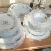 سرویس آرکوپال ویکتوریا ۶نفره ۴۰پارچه