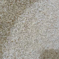 سرلاشه هاشمی معطر