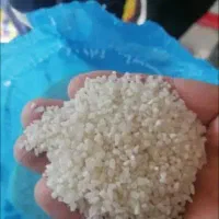 برنج عنبربو خوزستان نیم دانه