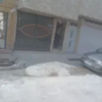 اجاره سوئیت