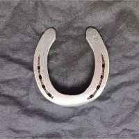 نعل پاخورده فولاد 400 گرمی