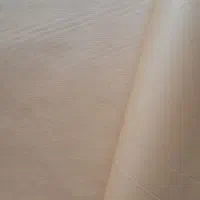 کاغذ گرافت