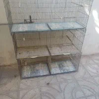 قفس