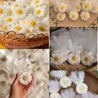 انواع شمع و گیفت زیبا (اشانتیون و ارسال رایگان)