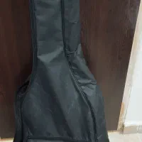 کیس یا کیف گیتار