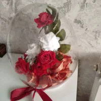 حراج گلها|حراج|رشت, فلسطین|دیوار