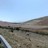 فروش-یک-قطعه-زمین-بر-جاده-آسفالته