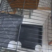 قفس|لوازم جانبی حیوانات|بهارستان, |دیوار