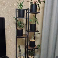 گل واستند گل